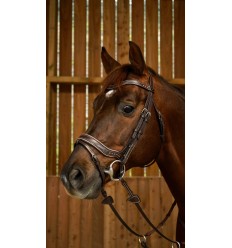 Working fit bridle
