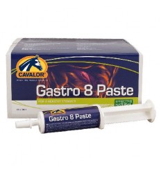 Gastro aid paste