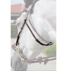 Hackamore cheek piece